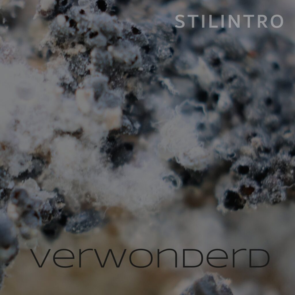 Verwonderd